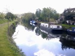 Greenwood Cut L1 Leisure